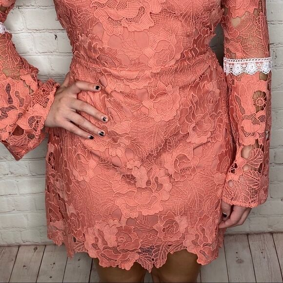 Alexia Admor Pink Contrast Lace Dress - Picture 6 of 15